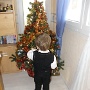 Decembre 2011 (20)