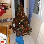 Decembre 2011 (4)