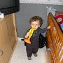janvier (12)
