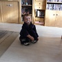 juillet 2011 (1)