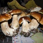 novembre2011 (16)