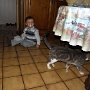 novembre2011 (8)