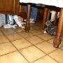 novembre2011 (9)