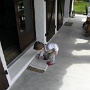PAQUES 2011 (10)