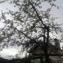 2012-04-09 18.41.21