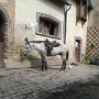 Ferme equestre (2)