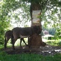 Ferme equestre (3)