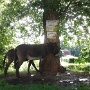 Ferme equestre (4)