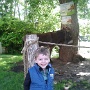 Ferme equestre (5)