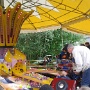 FETE FORAINE ROSNY (1)