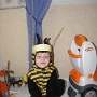 Deguisement abeille (2)