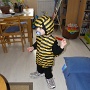 Deguisement abeille (6)