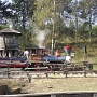 Disney mars 2012 (2)