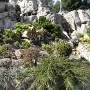 Disney mars 2012 (5)