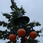 Mickey avec Parrain (2)