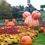 Mickey avec Parrain (9)