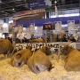 salonagriculture2012 (16)