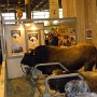 salonagriculture2012 (17)