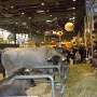 salonagriculture2012 (19)