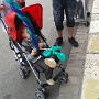 Chez les Lolom a Chartres (8)