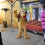 Avec Pluto (1)