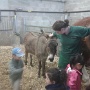 Sortie Ecole Ferme Pedagogique Rosny (9)