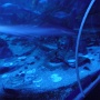 sealifevaldeurope (19)