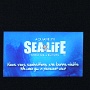 sealifevaldeurope (2)