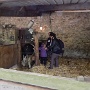 Visite ferme St HILLIERS (11)