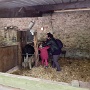Visite ferme St HILLIERS (12)