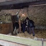 Visite ferme St HILLIERS (16)