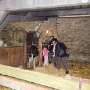 Visite ferme St HILLIERS (18)