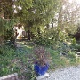 Visite ferme St HILLIERS (2)