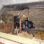 Visite ferme St HILLIERS (20)