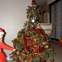 DECEMBRE 2016 (3)