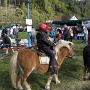 foire a st bresson (2)