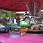 foire a st bresson (7)