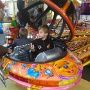 Fete a colmar (14)
