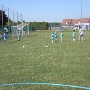 foot andolsheim (3)