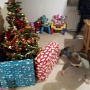 Cadeaux a la maison (1)