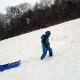 LUGE CHEZ NANIE OSETTE JANV 2016 (2)