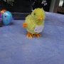 Chasse aux oeufs a fougerolles (9)