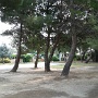 Vacances St Cyprien 2016 (14)