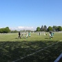 Plateau Volgelsheim avril 2017 (1)