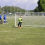 Plateau Volgelsheim avril 2017 (10)