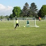Plateau Volgelsheim avril 2017 (14)