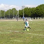 Plateau Volgelsheim avril 2017 (16)