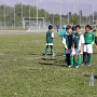 Plateau Volgelsheim avril 2017 (17)