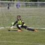 Plateau Volgelsheim avril 2017 (20)