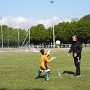 Plateau Volgelsheim avril 2017 (6)